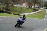 anglesey;brands-hatch;cadwell-park;croft;donington-park;enduro-digital-images;event-digital-images;eventdigitalimages;mallory;no-limits;oulton-park;peter-wileman-photography;racing-digital-images;silverstone;snetterton;trackday-digital-images;trackday-photos;vmcc-banbury-run;welsh-2-day-enduro
